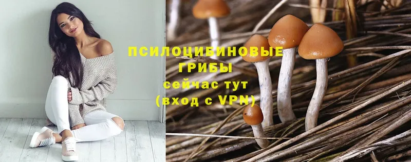 даркнет официальный сайт  Коломна  Галлюциногенные грибы Cubensis  купить наркотики сайты  kraken ССЫЛКА 